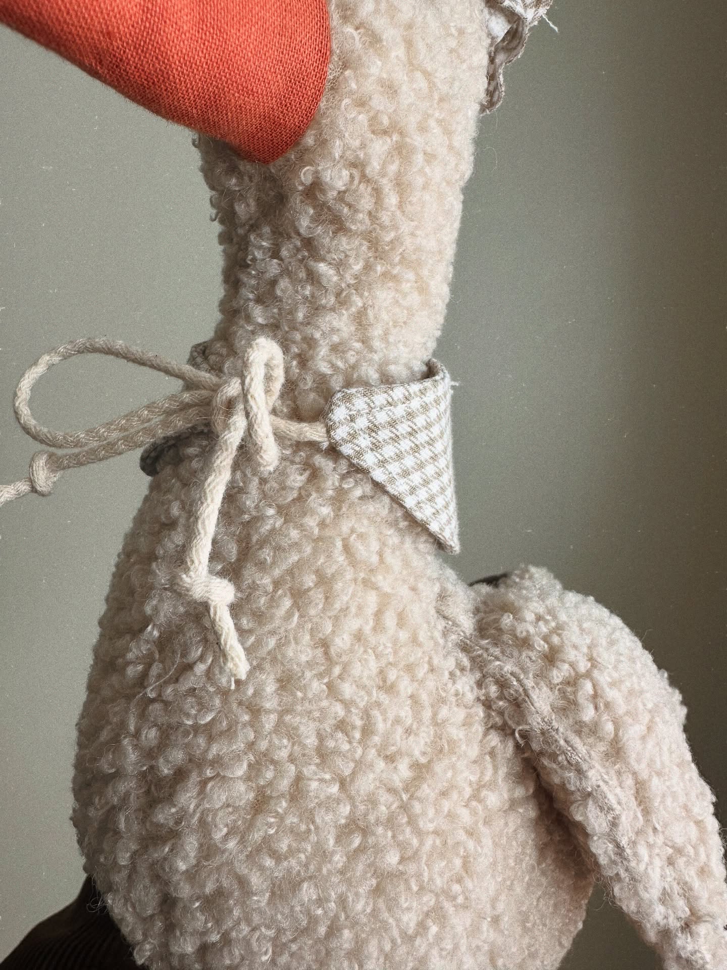 Pato Miguel