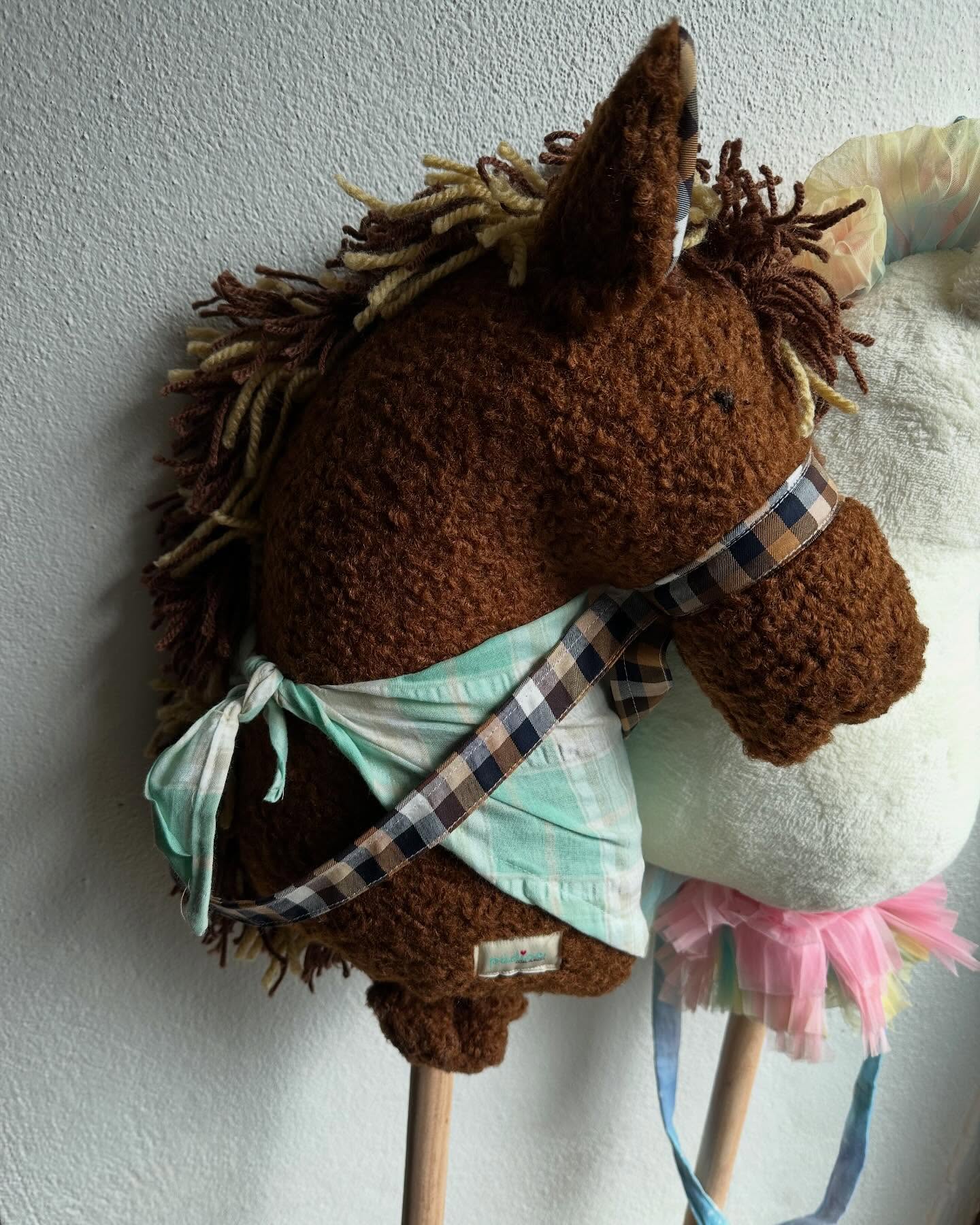 Cavalo Jacinto